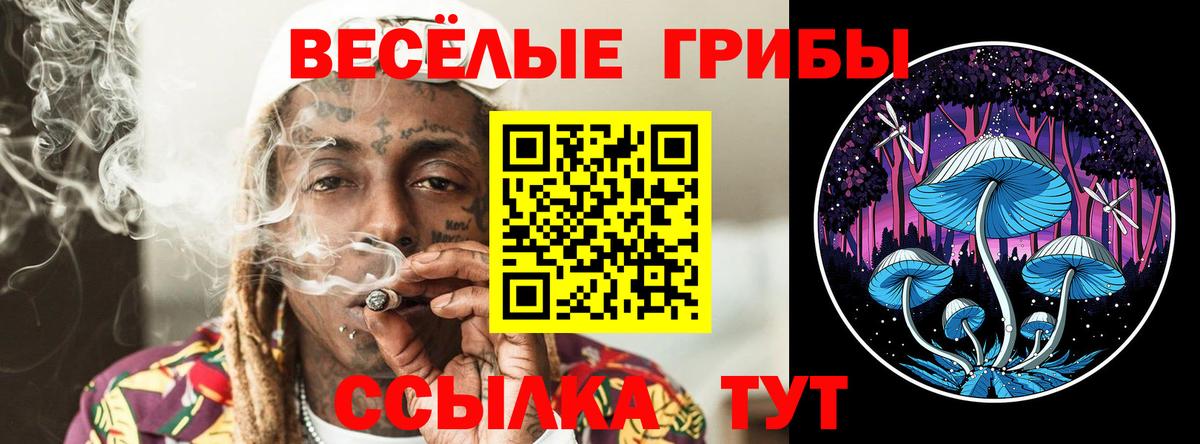 дарнет шоп  Галлюциногенные грибы ЛСД  Вход с VPN  Псилоцибиновые грибы MAGIC MUSHROOMS  Ковров 